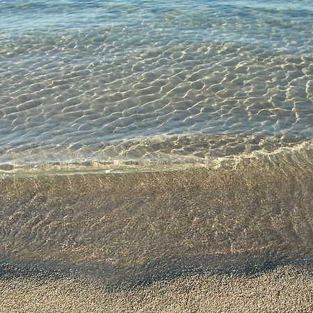 Hotel Residence San Pieru Tarcu 外观 照片