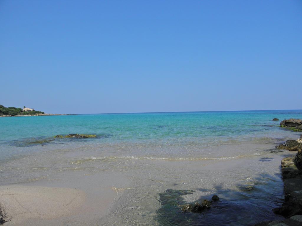 Hotel Residence San Pieru Tarcu 外观 照片