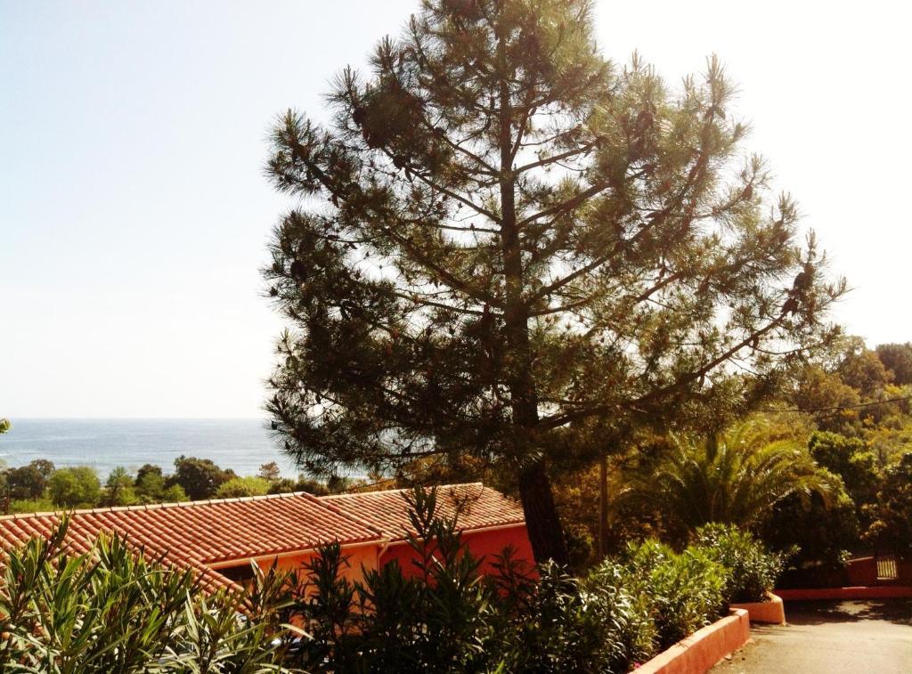 Hotel Residence San Pieru Tarcu 外观 照片