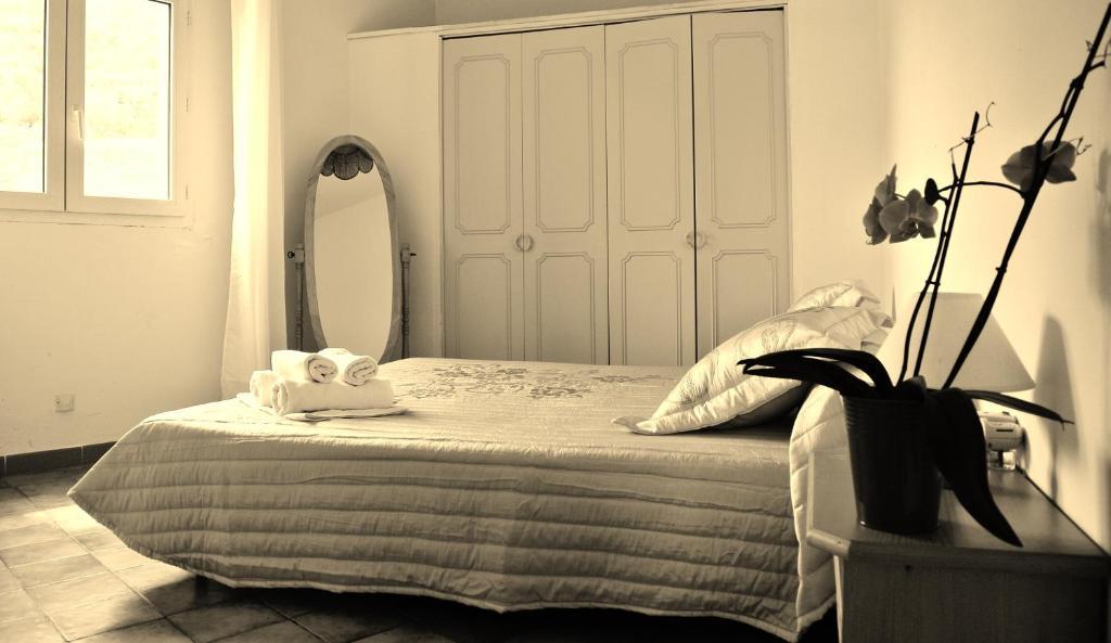 Hotel Residence San Pieru Tarcu 外观 照片