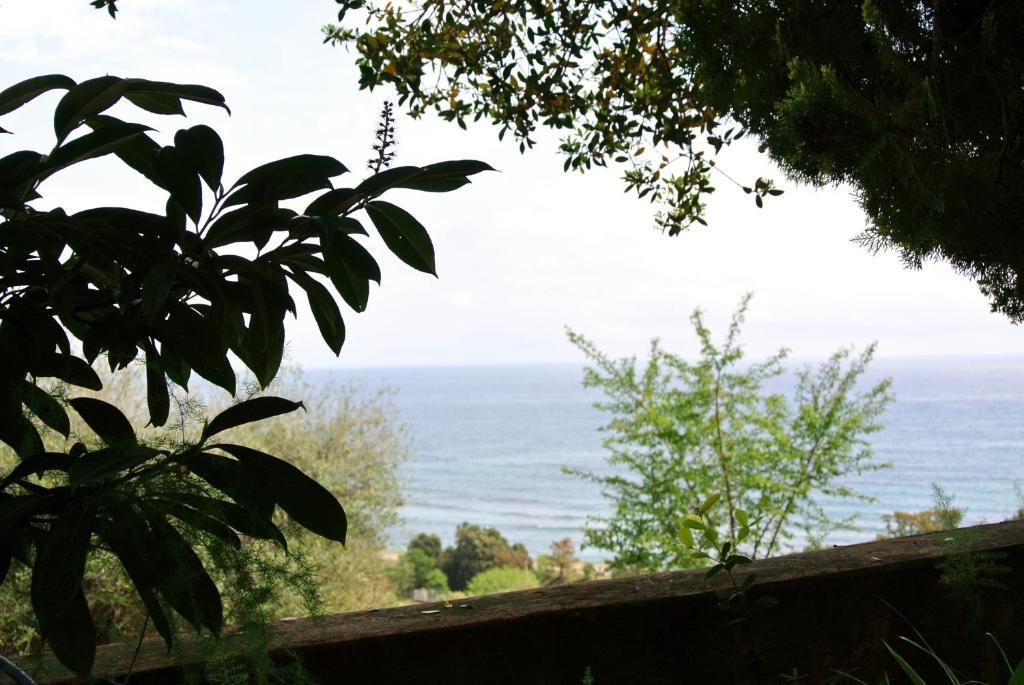 Hotel Residence San Pieru Tarcu 外观 照片