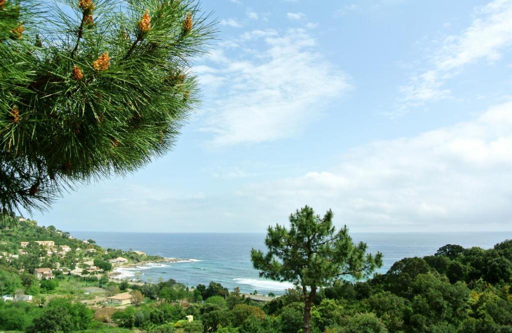 Hotel Residence San Pieru Tarcu 外观 照片