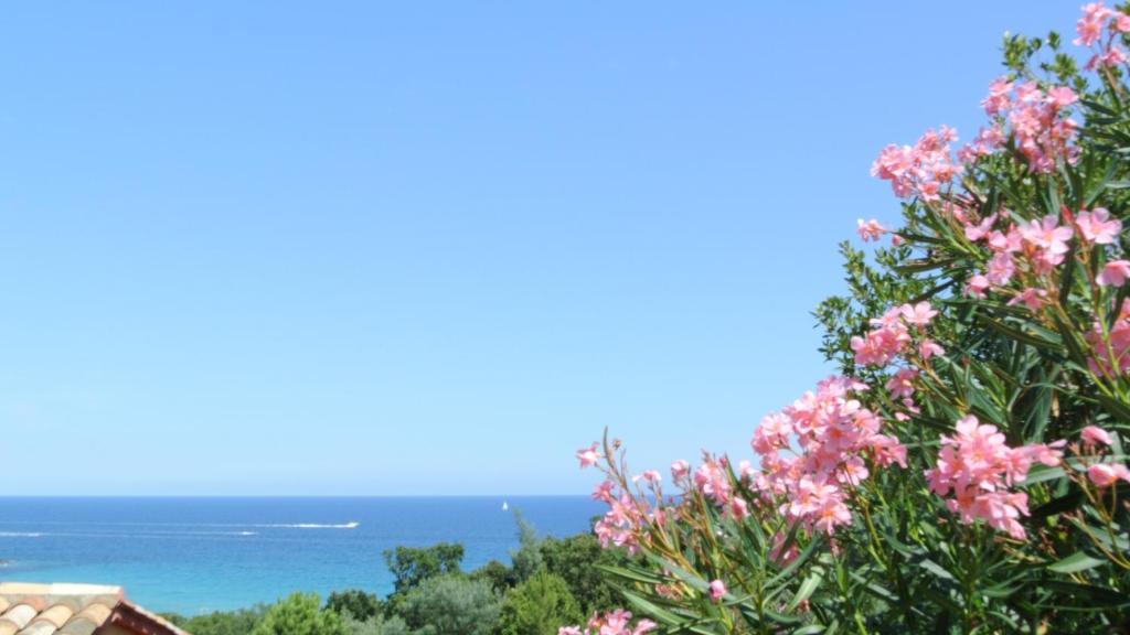 Hotel Residence San Pieru Tarcu 客房 照片