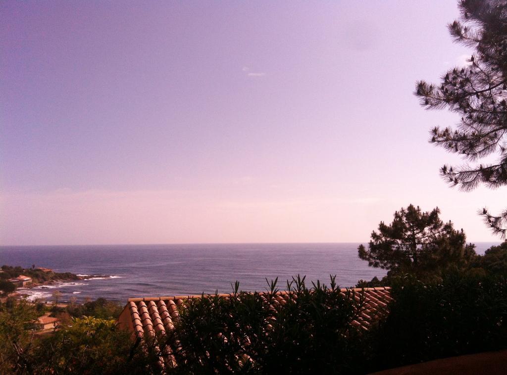 Hotel Residence San Pieru Tarcu 外观 照片